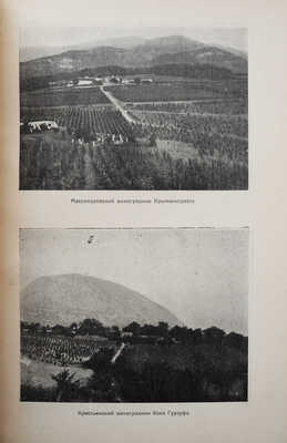 Весь Крым. 1920-1925. Юбилейный сборник (V-му Всекрымскому съезду Советов). Симферополь, 1926.